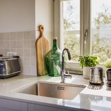 فيلة Horizon 241