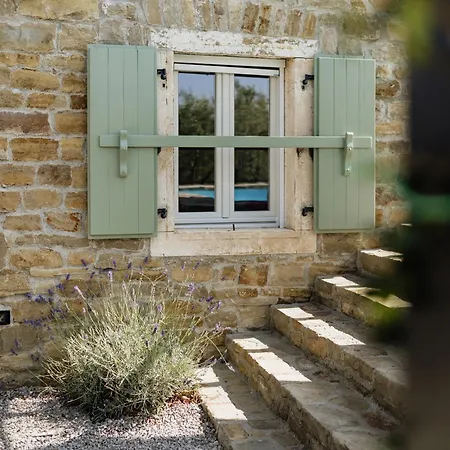 Horizon 241 Sovinjska Brda