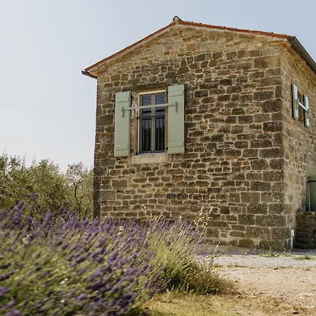 Horizon 241 Villa Sovinjska Brda