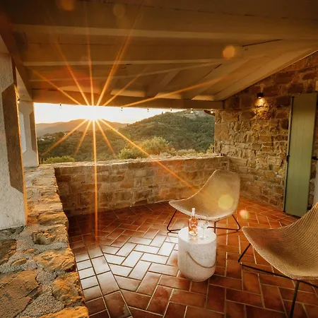 Horizon 241 فيلة *