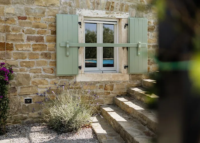 Horizon 241 Sovinjska Brda